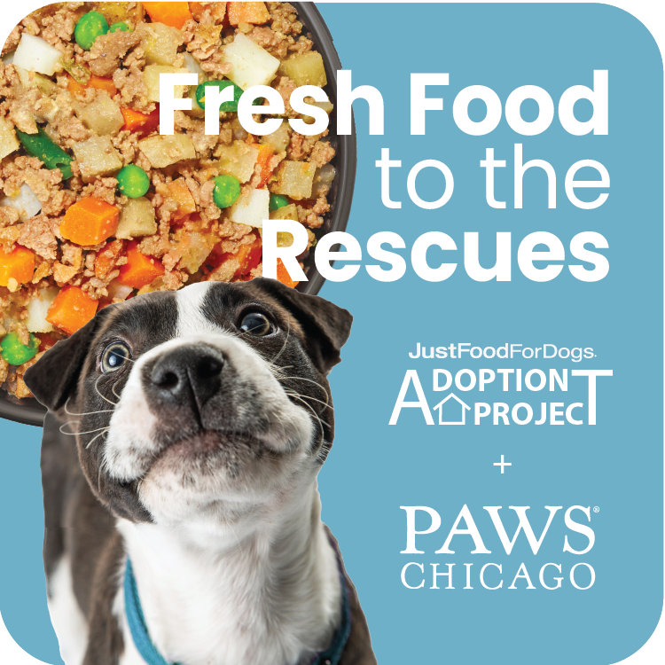 Justfoodfordogs chicago hotsell